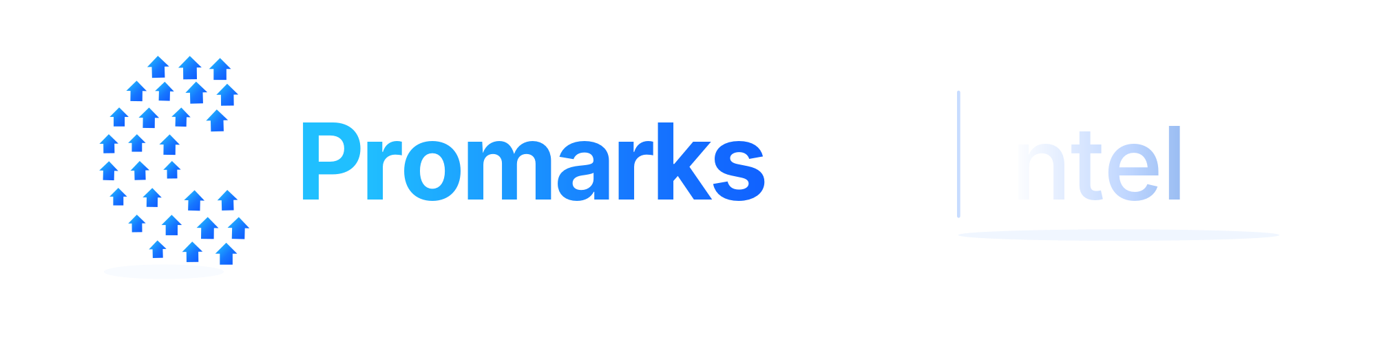 Promarks Intel branding
